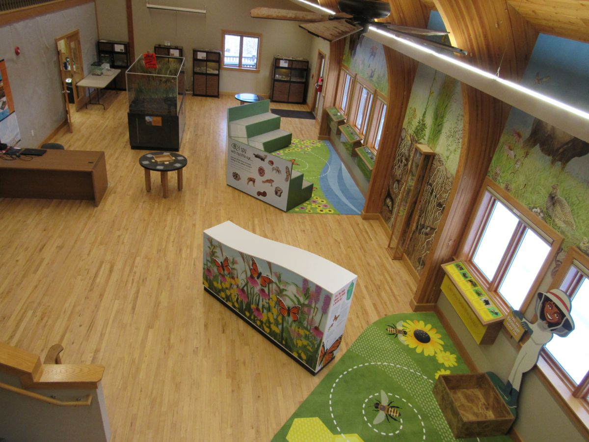 Lake Iowa Nature Center - Inside view of nature center education displays