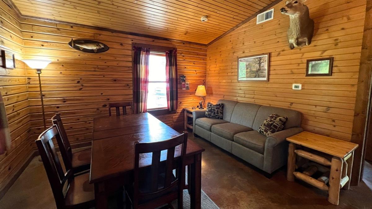 Cabin Living Room with Couch and Dining Table