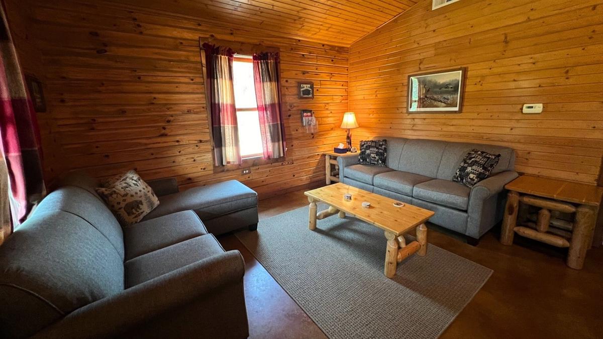 Cabin Living Room with couches and coffee table